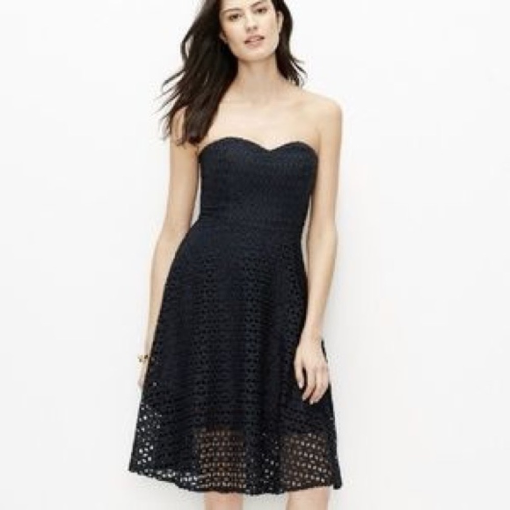 Ann Taylor Navy Eyelet Dress EUC